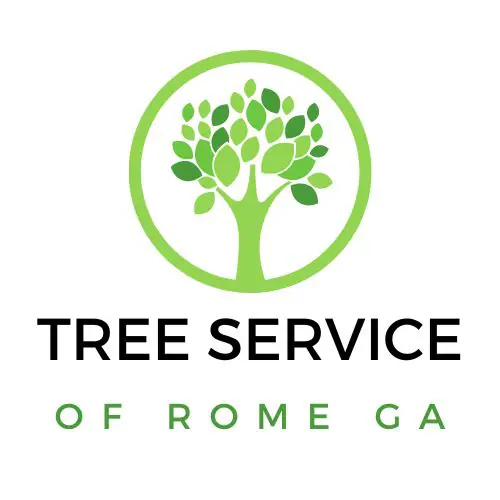 tree service rome georgia